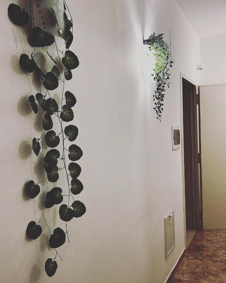 Esperanto B&B 巴里 外观 照片